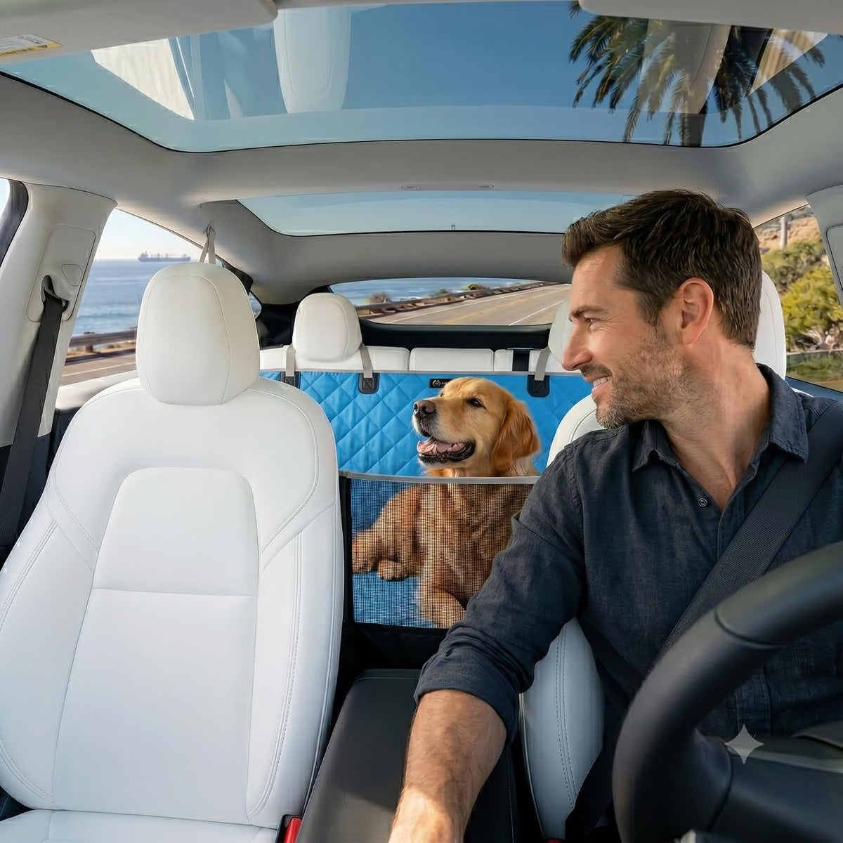 56"Wx60"L Dog Car Seat Cover for SUV & Truck - Standard / BLUE - image 2
