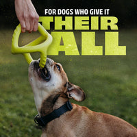 Benebone Natural Rubber Tug Interactive Dog Toy – Essentials for Dogs - Tug Ball / One Size - image 2