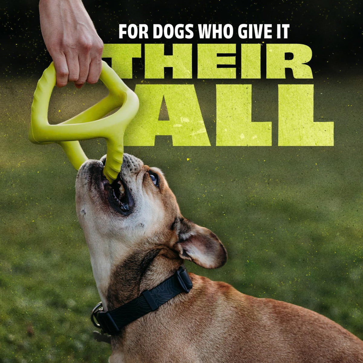 Benebone Natural Rubber Tug Interactive Dog Toy – Essentials for Dogs - Tug Ball / One Size - image 2