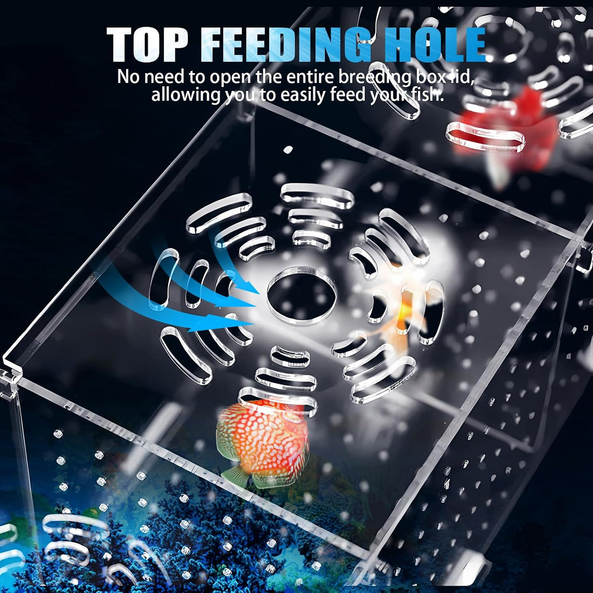 Fish Breeding Box, Acrylic Isolation Box Aquarium Hatchery Incubator with Suction Cups for Newborn - image 3