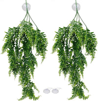 Reptile Plants for Bearded Dragon Tank Accessories - Group B2