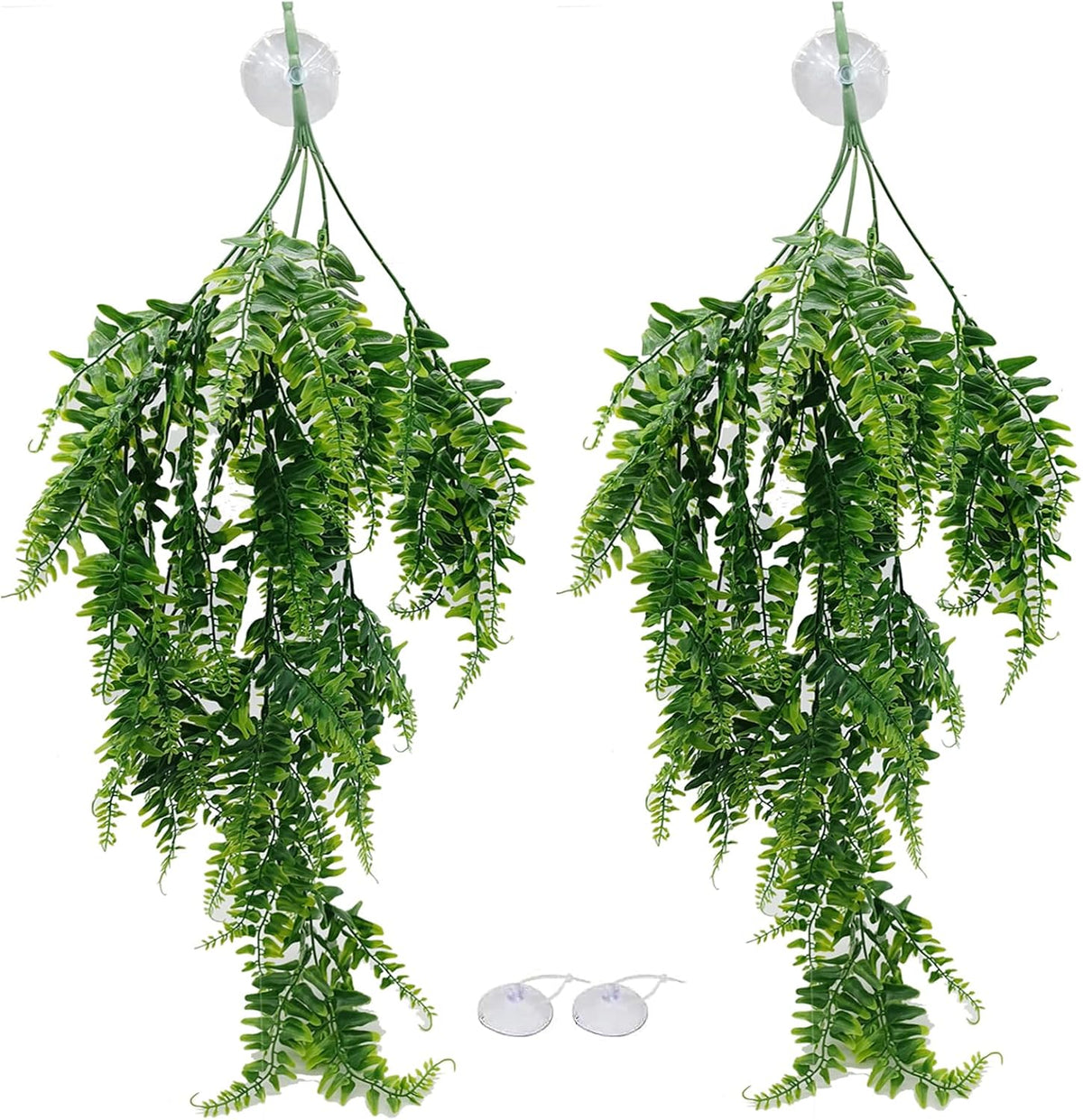 Reptile Plants for Bearded Dragon Tank Accessories - Group B2