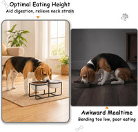 Ceramic Elevated Dog Bowls with Stand - Matte White / L × 2 - image 3