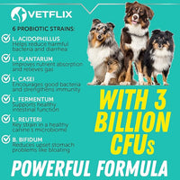 Premium Probiotics for Dogs, Cats - Digestive Enzymes & Prebiotics Supplement - Helps to Relieve Diarrhea, Vomiting, Upset Stomach, Gas, Constipation & Bad Breath - Supports Digestive System - 2 Fl Oz