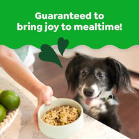 Greenies Smart Topper High Protein Wet Mix-in for Dogs, Chicken, Peas, Apples & Brown Rice Recipe in Vitabroth Broth - Bone Broth + Vitamins E & B1, 10 Count