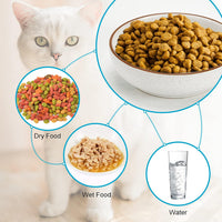 Ceramic Cat Bowls, Howise Pet Bowl Cat Dishes for Food and Water - white - image 2