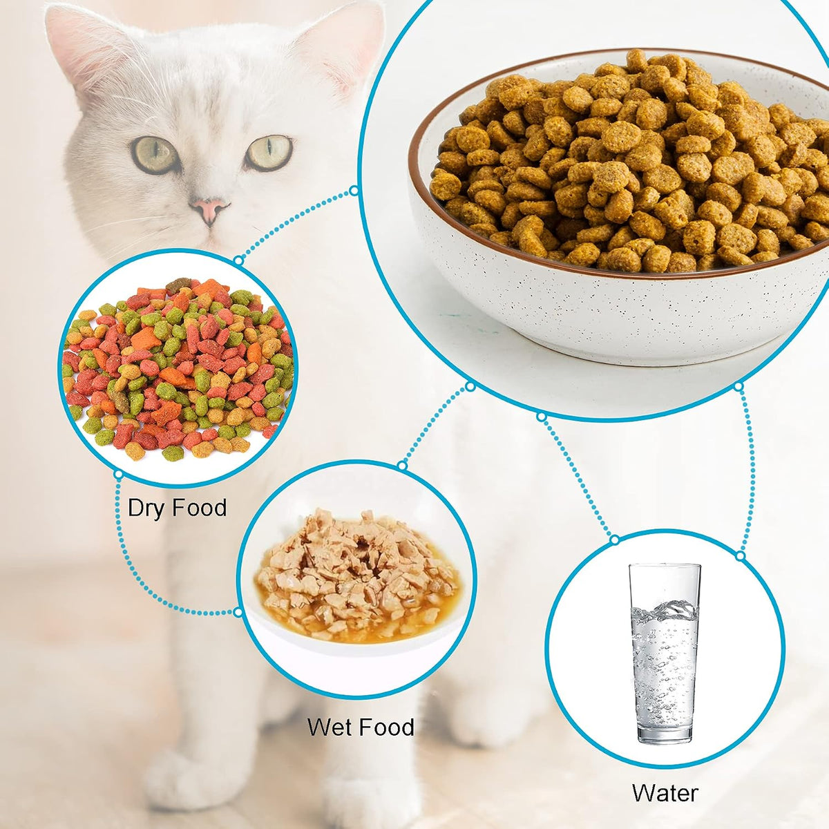 Ceramic Cat Bowls, Howise Pet Bowl Cat Dishes for Food and Water - white - image 2