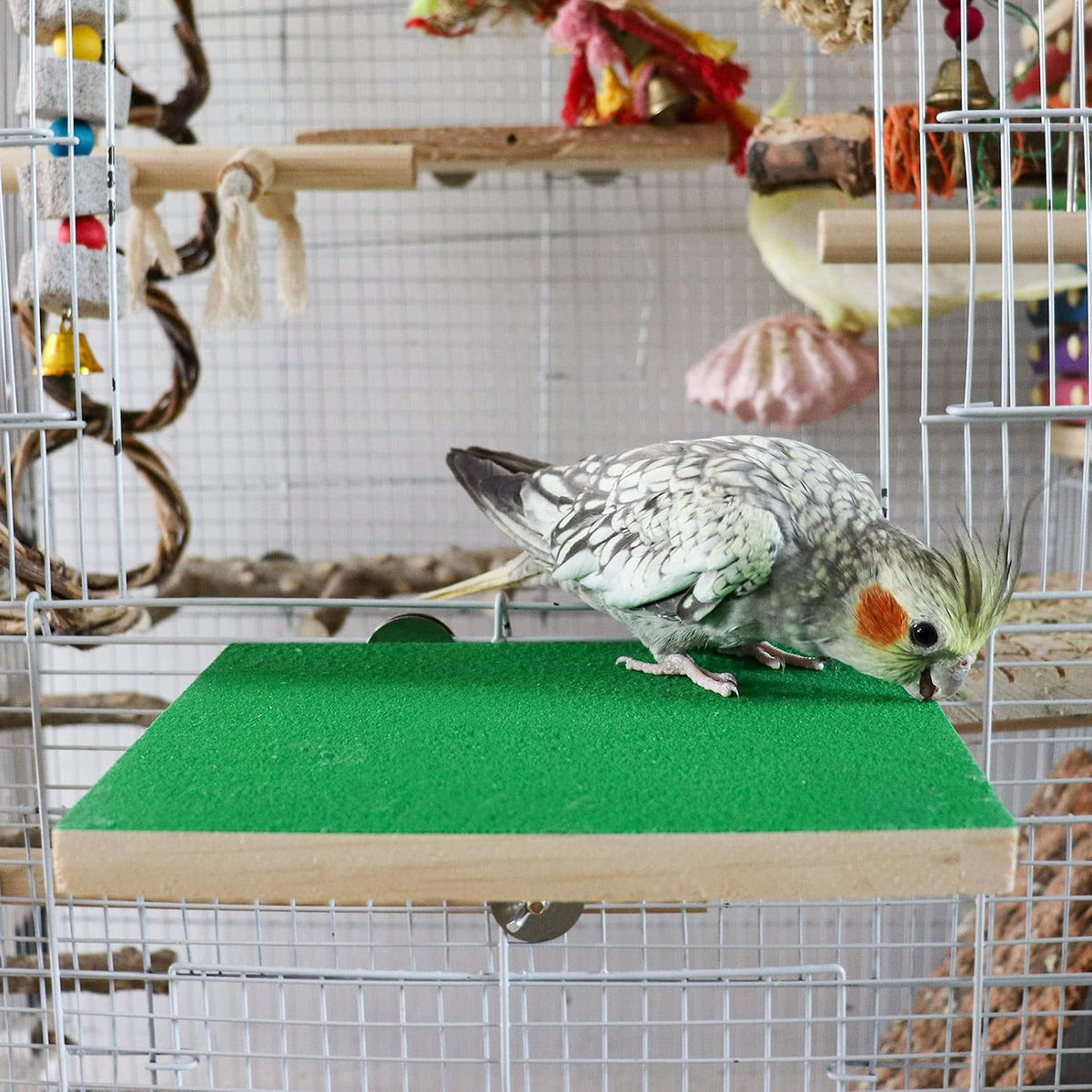 15.7×10.4 Inches Large Bird Perch Stand Platform - 7.9 × 5.9 Inches Green - image 4