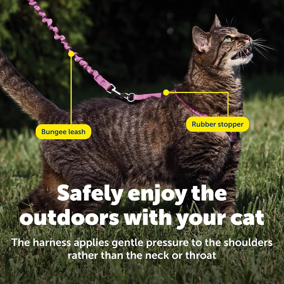 PetSafe Come With Me Kitty Harness and Bungee Cat Leash - Small (Pack of 1) / Dusty Rose - image 4