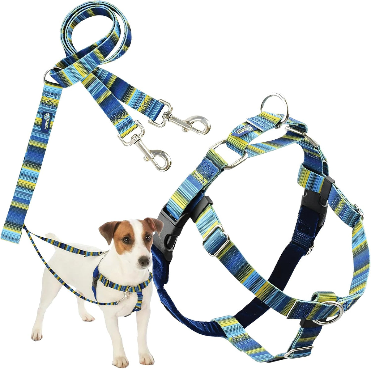 2 Hounds Design Freedom No Pull Dog Harness and Leash, 1" LG - Clyde / SM (Chest 20" - 24")