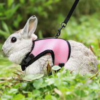 PETTOM Bunny Rabbit Guinea Pig Harness Stretchy Elastic Leash Cute - XS(Chest:7.87-10.6 in) / Pink - image 2