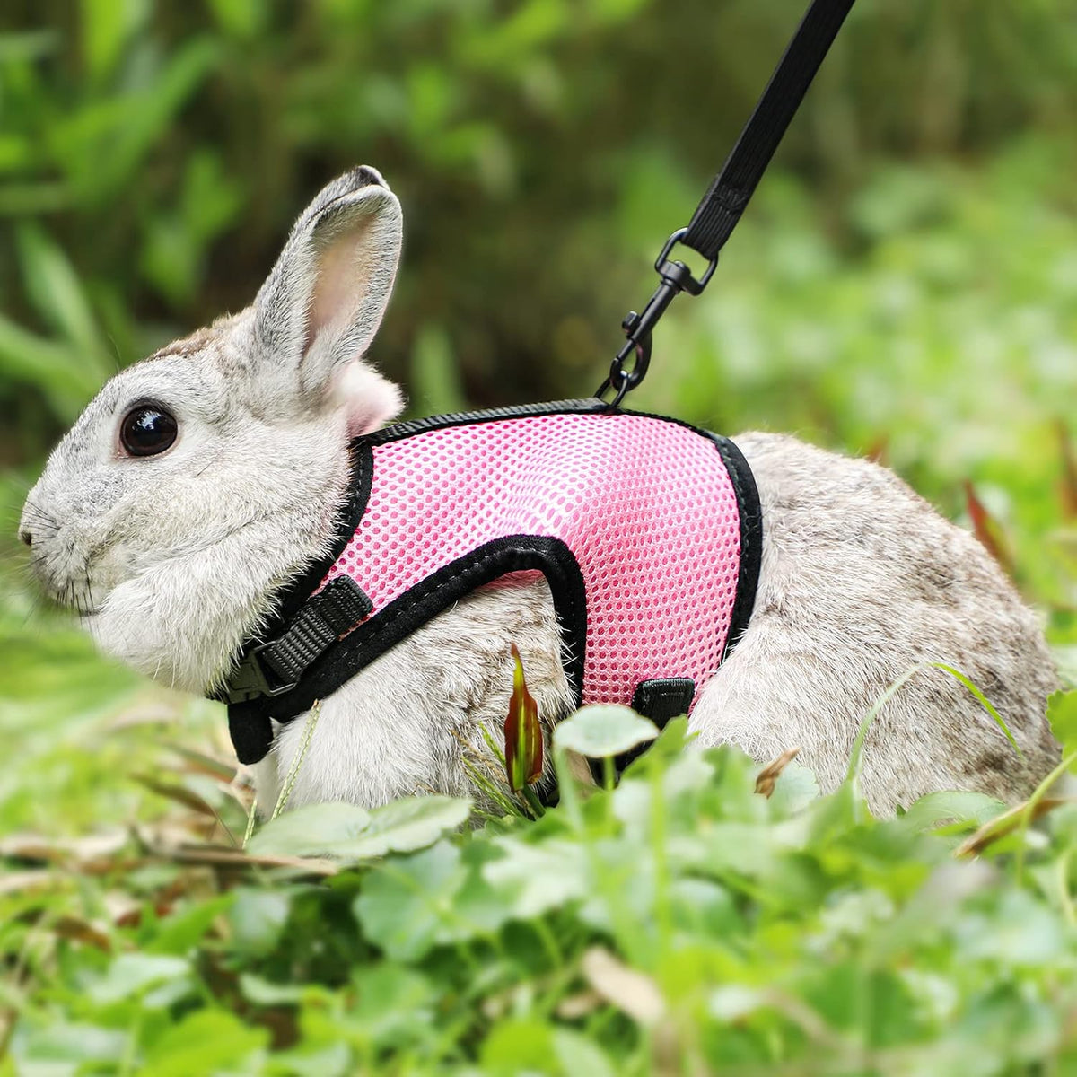 PETTOM Bunny Rabbit Guinea Pig Harness Stretchy Elastic Leash Cute - XS(Chest:7.87-10.6 in) / Pink - image 2