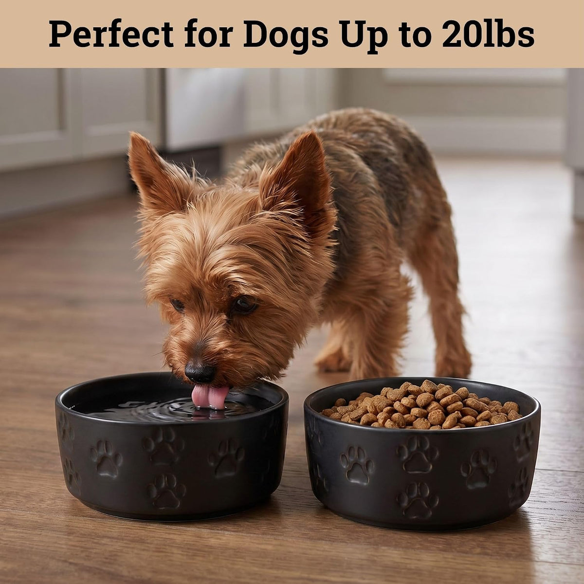Ceramic Dog Bowl Set of 2 with Anti-Skid Base, 5.5"W x 2"H - Small / Black - image 3