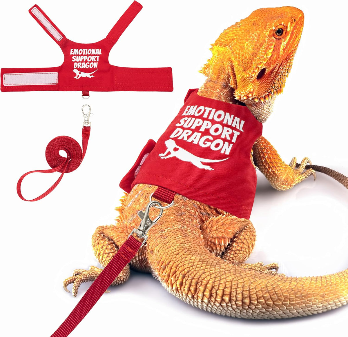 Bearded Dragon Harness and Leash Set, Escape Proof Reptile Vest – Essentials for Reptiles And Amphibians - Red