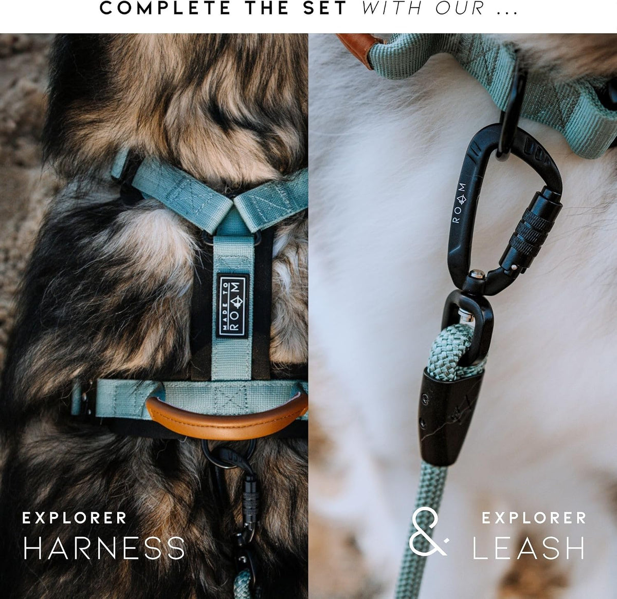 MADE TO ROAM Explorer Dog Collar - Texas Flair / Size 2 - image 3