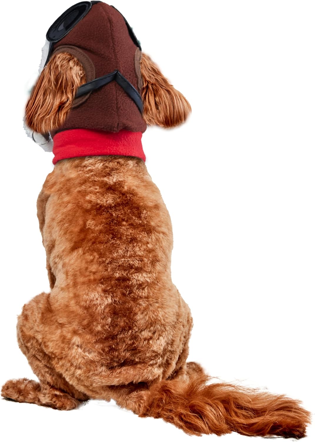 Rubies Aviator Pet Hat & Scarf Set for Dogs or Cats, S/M – Essentials for Dogs - Medium/Large / 1 - image 2