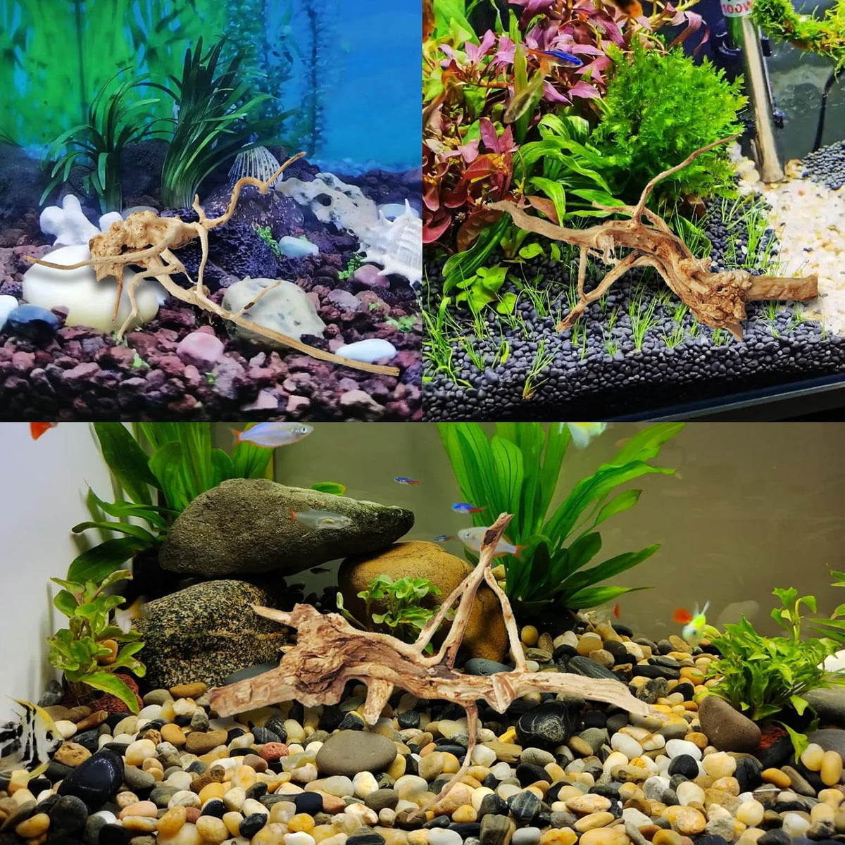 Aquarium Driftwood Reptile Branches Wood Natural Spiderwood Driftwood - 11 Pcs - image 4