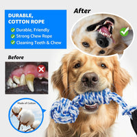 LOOBANI Outdoor Bungee Tug Toy - Blue+Orange - image 3
