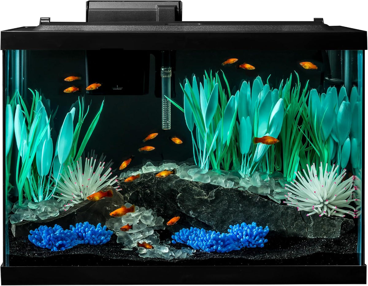 Tetra ColorFusion 20 Gallon Complete Aquarium Kit – Essentials for Fish
