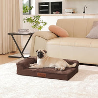 Orthopedic Dog Bed Medium Size Dog, 3 Inch Memory Foam Pet Bed for Small and Medium Dogs, Washable Removable Cover, Nonskid Bottom, Waterproof, 30x20 Inches S Brown Grey