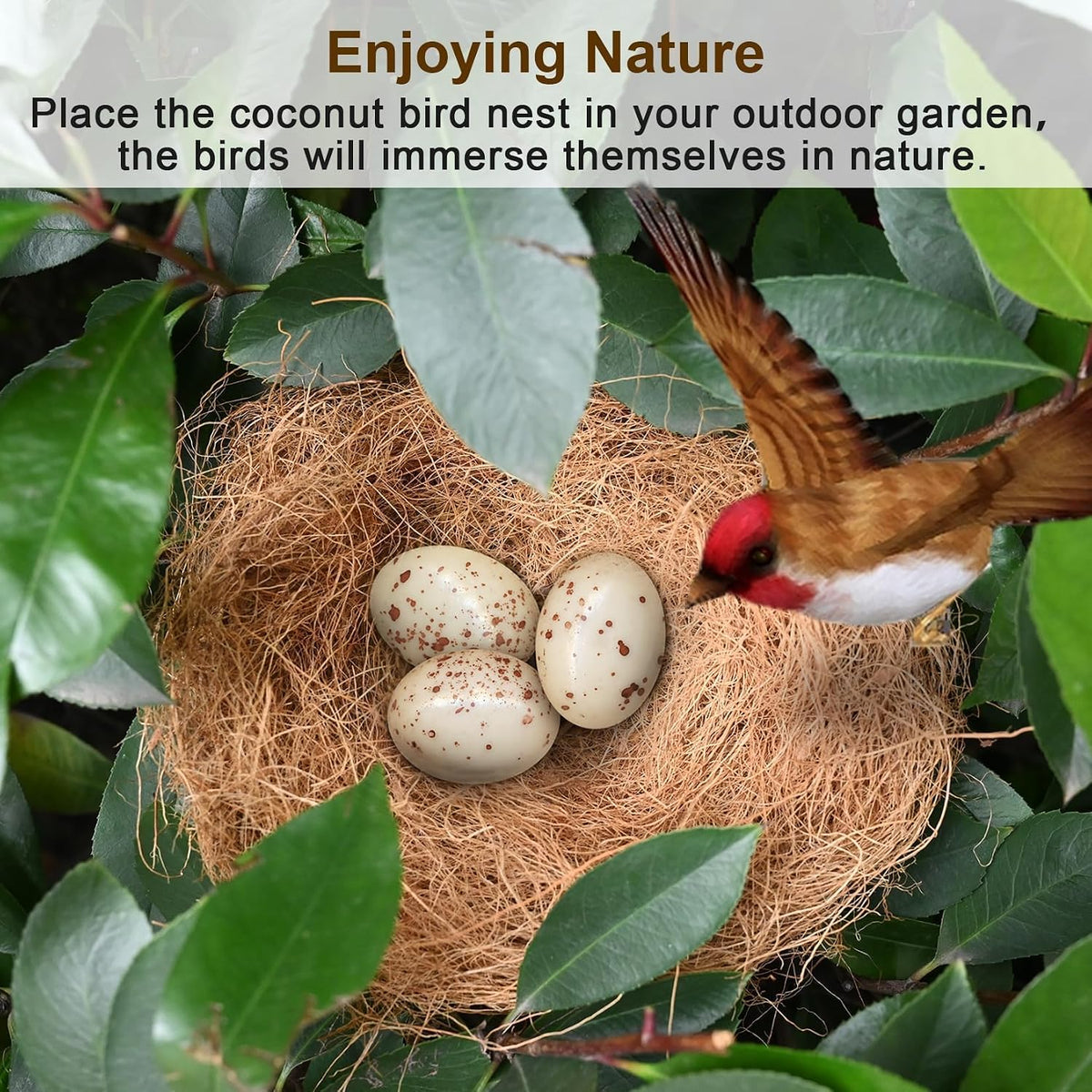 Sukh Coconut Fiber for Bird Nest - 3 - image 3