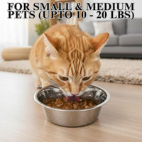 Pet Feeder Stainless Steel Dog Bowls Replacement 8" Diameter 2-Pack – Essentials for Dogs - 2.5 cup (Embossed) / Double Pack - image 2