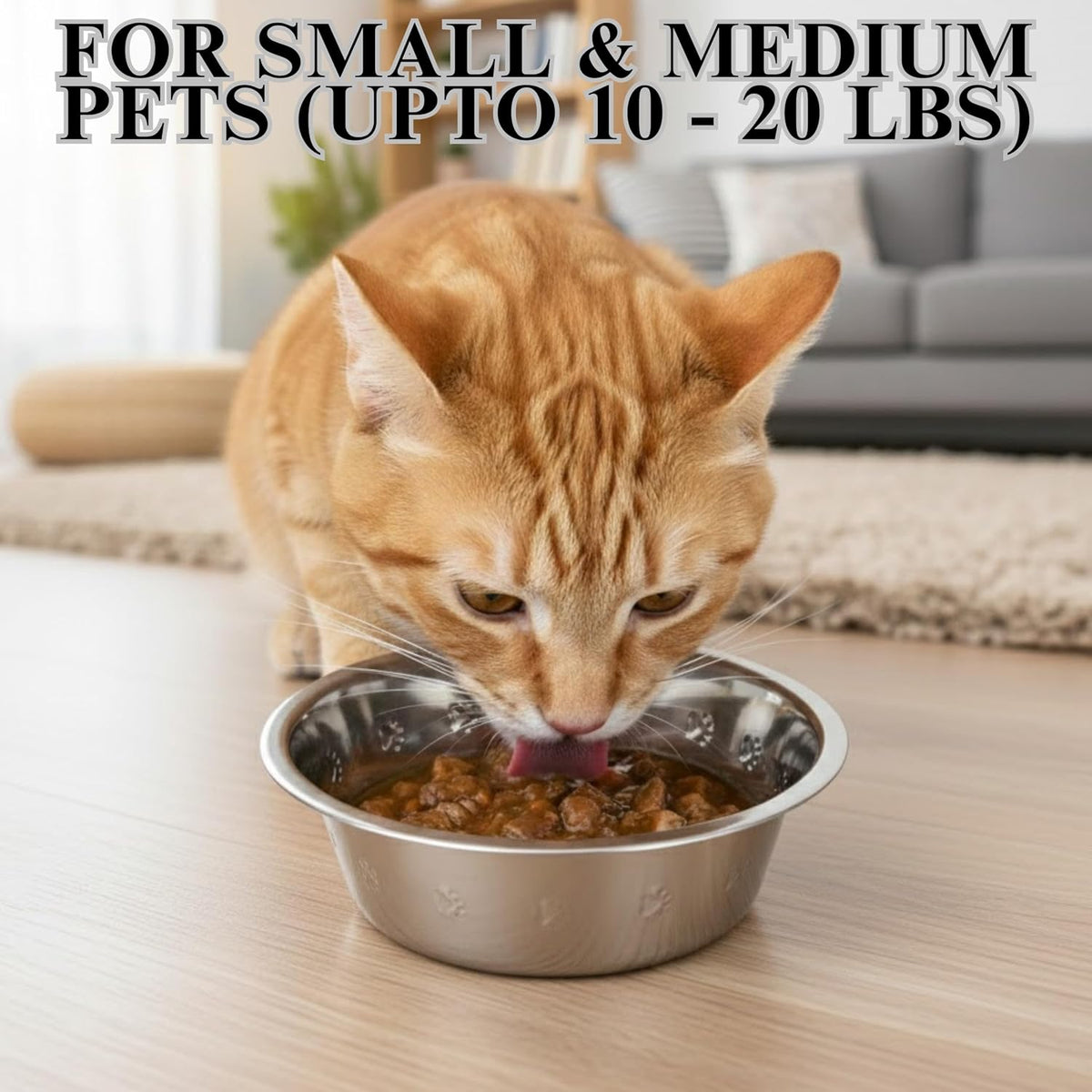 Pet Feeder Stainless Steel Dog Bowls Replacement 8" Diameter 2-Pack – Essentials for Dogs - 2.5 cup (Embossed) / Double Pack - image 2