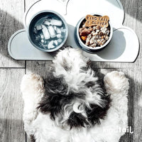 Dog Travel Bowls - Set of 2 Portable Pet Food & Water Dishes with Lid & Handle - Each Nesting - Grey / Small - image 2