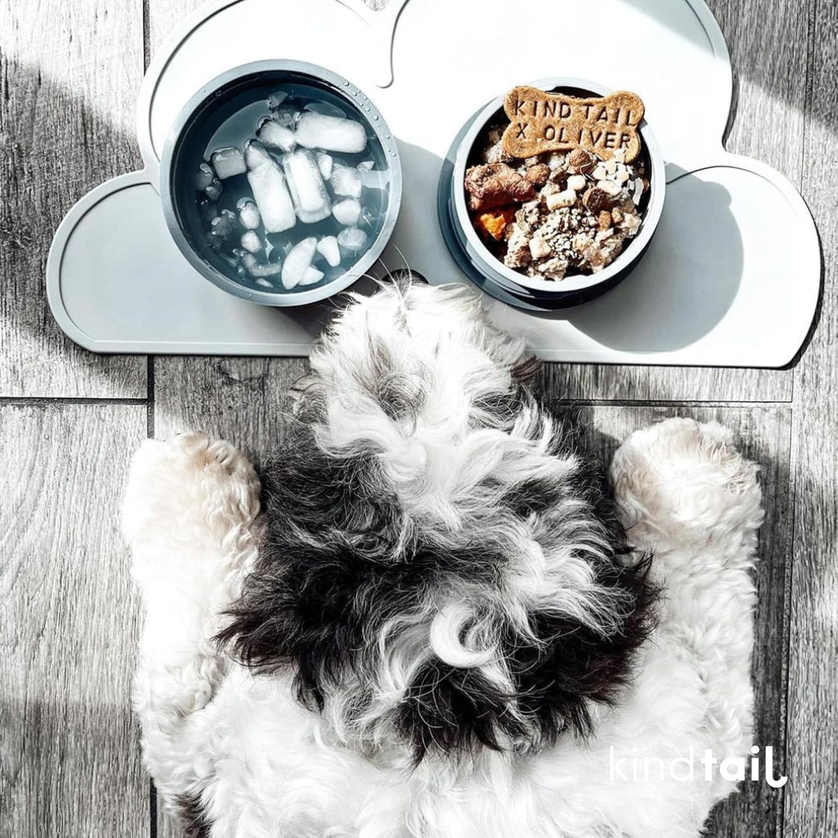 Dog Travel Bowls - Set of 2 Portable Pet Food & Water Dishes with Lid & Handle - Each Nesting - Grey / Small - image 2