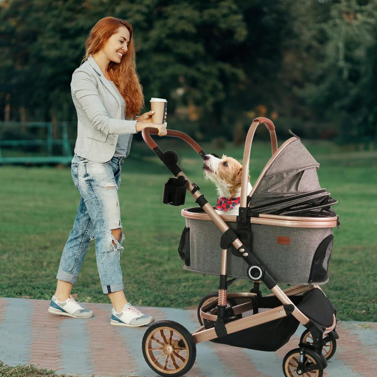 Bicystar Dog Stroller with Detachable Carrier, Rubber Wheels - Grey - image 2