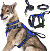 WINSEE Pet Harness Collar and Leash Set - X-Large / Dark Blue