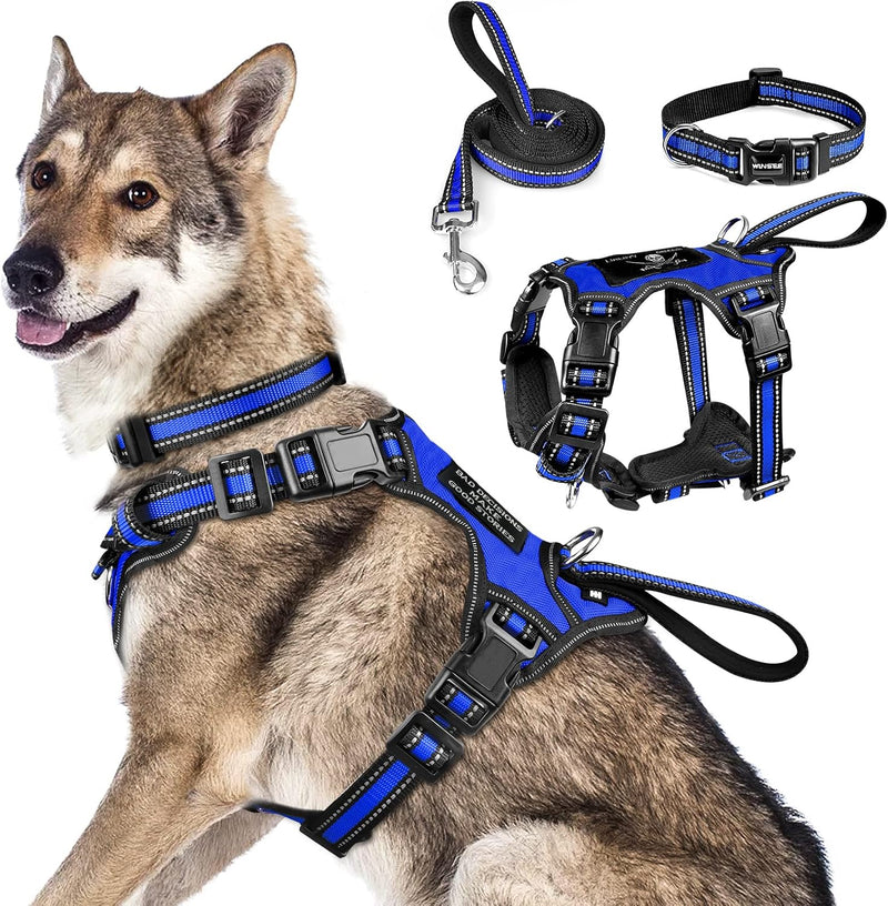 WINSEE Pet Harness Collar and Leash Set - X-Large / Dark Blue