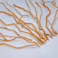 Azil Natural Aquarium Driftwood Root - root mix 10 - 15 inch - image 3