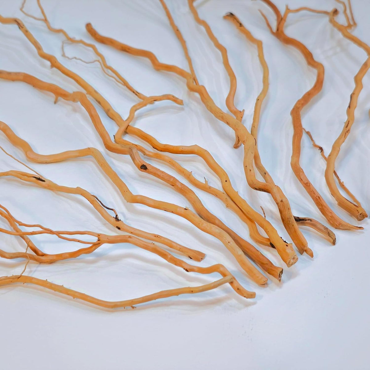 Azil Natural Aquarium Driftwood Root - root mix 10 - 15 inch - image 3