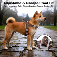 No Pull Dog Harness with Handle - Chocolate / XS - image 2