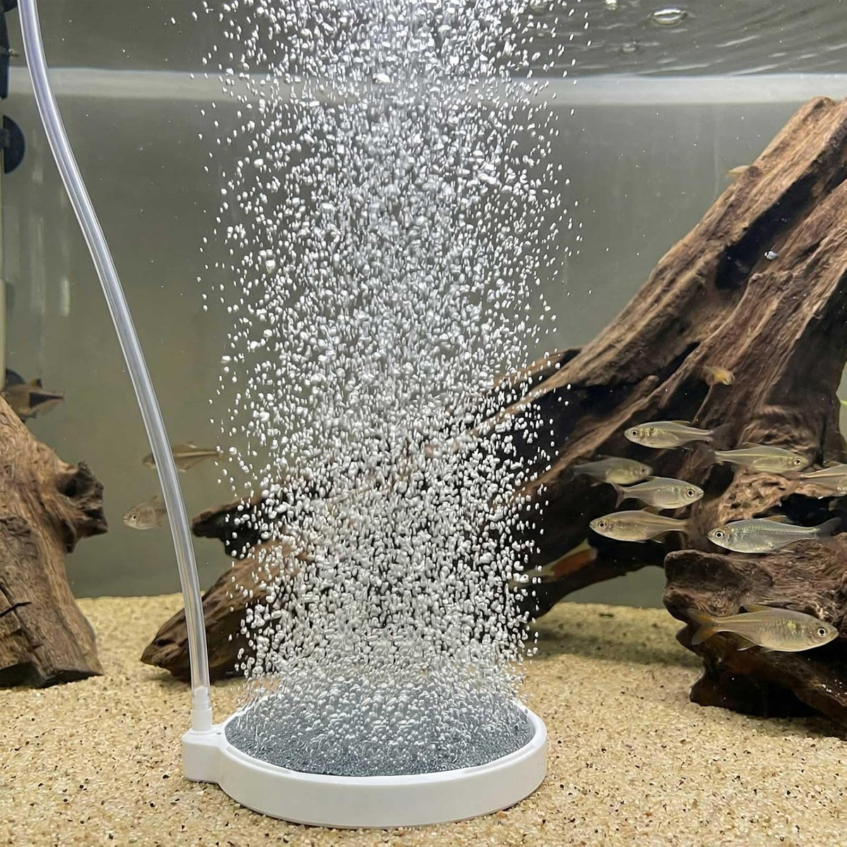 Fish Tank Bubbler, 3.2 Inch Aquarium Air Stone Kit, Nano Quiet Oxygen Diffuser for 20-70 Gallon - 3.2 Inch, for 20-70 Gal - image 3