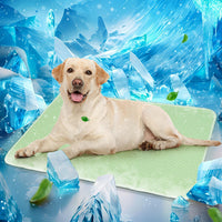 Mora Pets Dog Cooling Mat Instant Pet Cooling Pad Bed for Large Dogs - Green / 40-Inch (Large)
