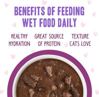 Weruva B.F.F. OMG - Best Feline Friend Oh My Gravy!, Tuna & Beef Belly Rubs with Tuna & Beef, 2.8oz Can (Pack of 12)