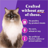 Halo Wet Cat Food Turkey & Duck Recipe, Grain Free Wet Cat Pate, Canned Cat Food for Extra Hydration, 5.5 Oz Can (Pack of 12)