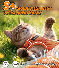Cat Harness and Leash for Walking - Orange / S (7-12lb) - image 3