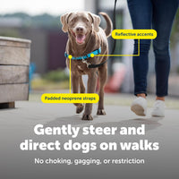 PetSafe Easy Walk Deluxe Dog Harness, No Pull Dog Harness - Medium / Ocean - image 4