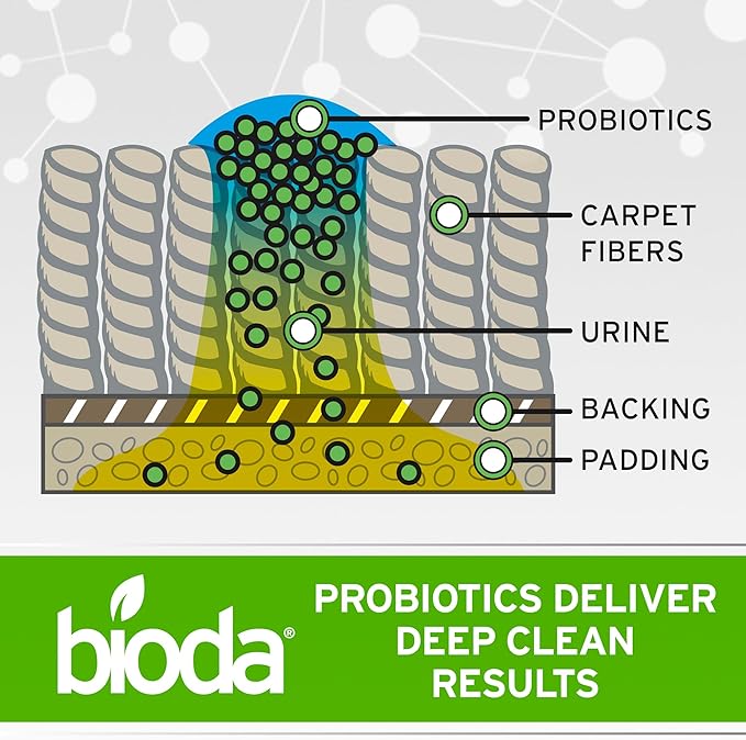 Bioda Commercial Strength Enzymatic Stain & Odor Eliminator for Pets | Industrial-Grade Formula Removes Dog and Cat Urine | USA Made Carpet Spot Cleaner | 32oz Sprayer