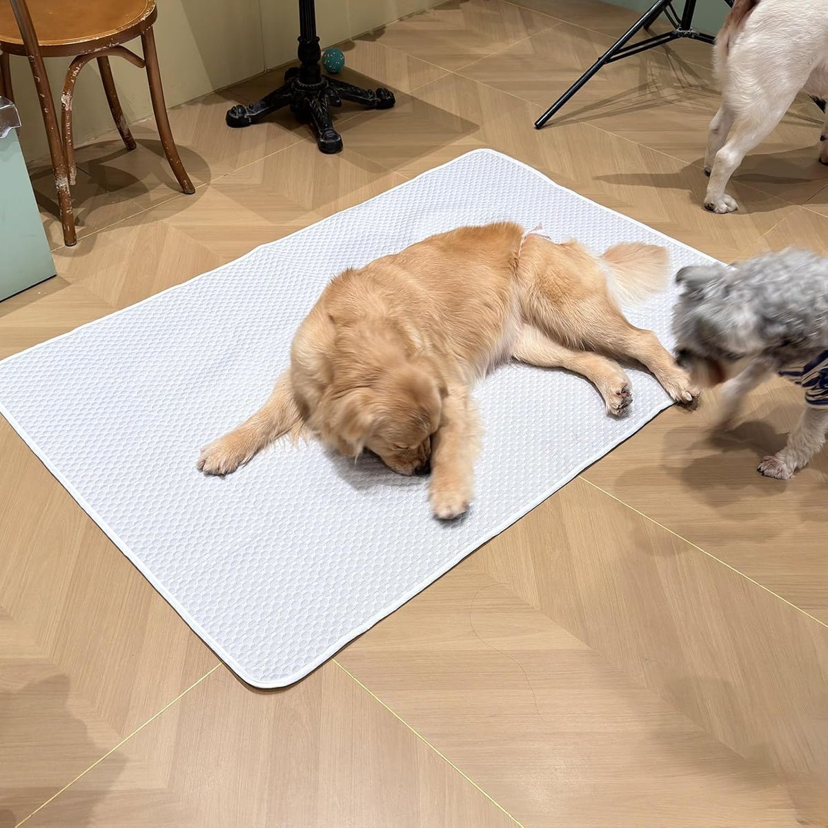 Large Dog Cooling Mat 46"x36", Washable Waterproof Non-Slip, L – Essentials for Dogs - Extra Large 60"x40" - image 2