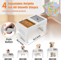 3-in-1 Elevated Dog Bowls with 4 Height Adjustable Raised Stand – Essentials for Dogs - White / 3-in-1 Dog Bowls Set - image 2