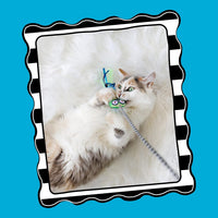 FATCAT Tadpole Cat Wand Stuffed with 100% Organic Catnip Interactive - One Size (Pack of 2) - image 2