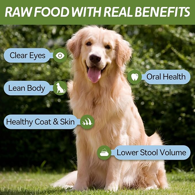 OPET Freeze Dried Duck Cat Treats, Single Ingredient Grain Free High Protein Pet Food for Cats and Dogs, Healthy Training Snacks，Freeze Dried Duck Breast Sliced Fillets (Duck Breast, 5.92 Ounce)