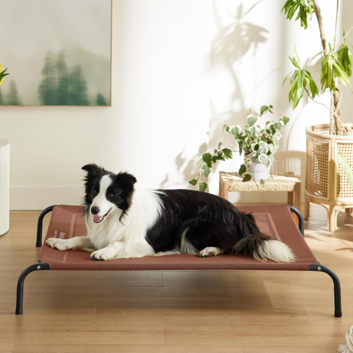 Bedsure Outdoor Elevated Cooling Dog Bed Large Sized Dog - Terracotta / 49"L x 31.5"W x 8"Th - image 2