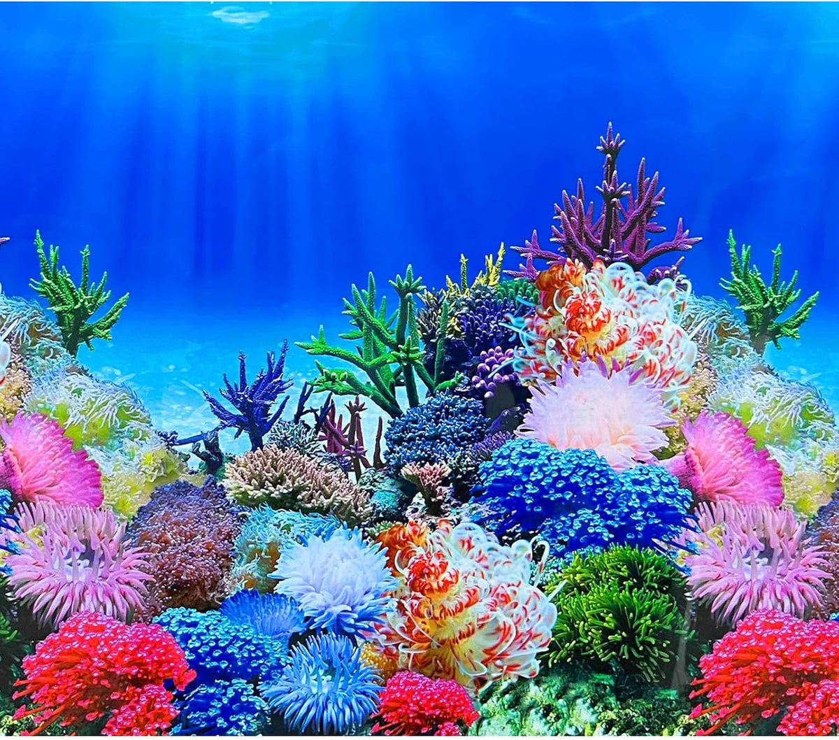 XCNO Aquarium Background Poster Fish Tank Wallpaper - Sea Anemone / 15.6" x 33" In
