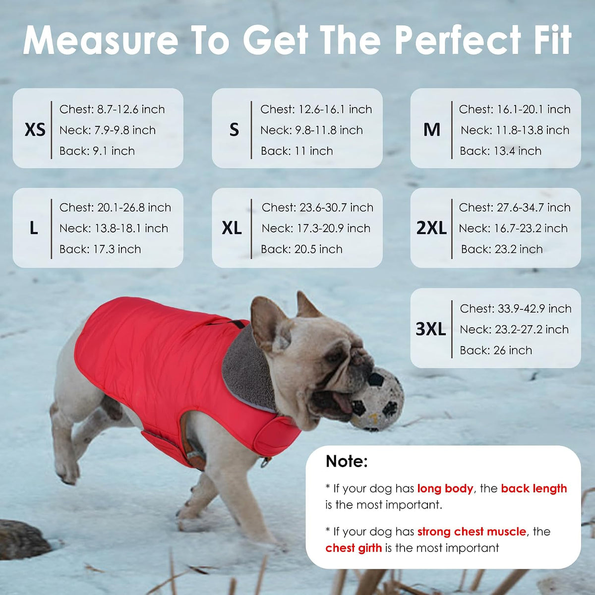 Waterproof Dog Winter Coat - Red / XS(Chest Girth:8.7-12.6") - image 2