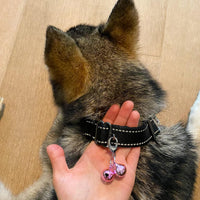 4 Sets Cat Bell for Dog Collar Charm Training Pet Pendant Accessories - X-S / Pink - image 3